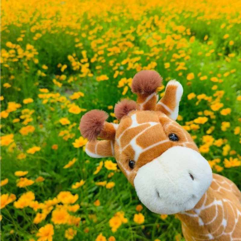 Very Soft Giraffe Plush Toy Fo - Kids Toys Very recension och pris