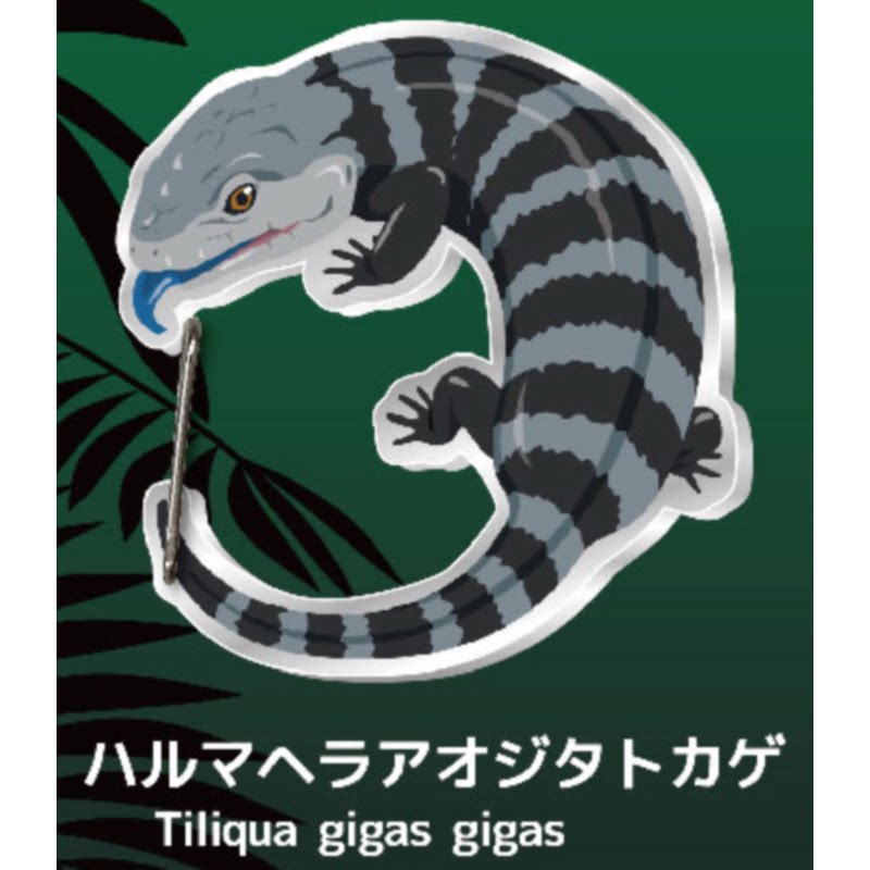 Lizard Gecko Carabiner Capsule - Kids Toys Japan recension och pris