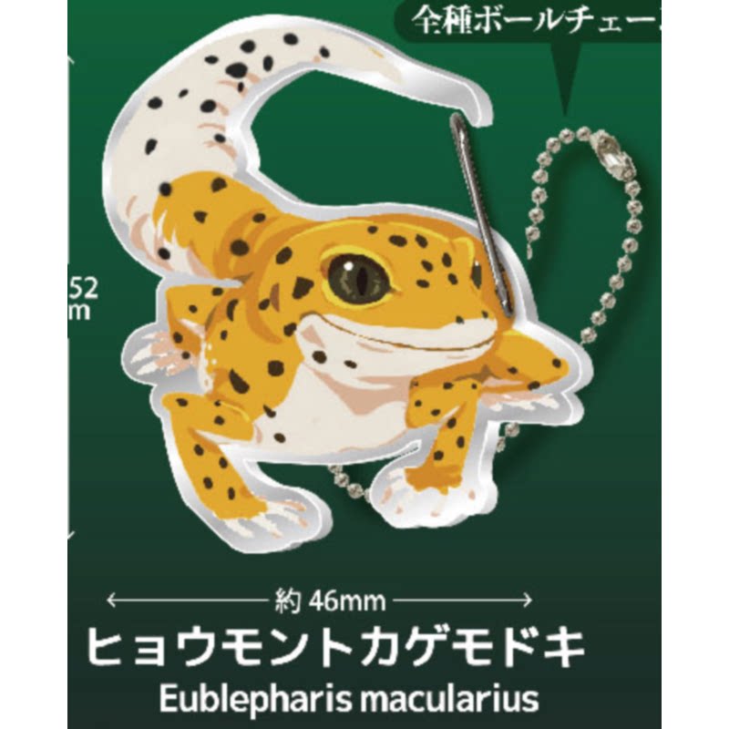 Lizard Gecko Carabiner Capsule - Kids Toys Japan recension och pris